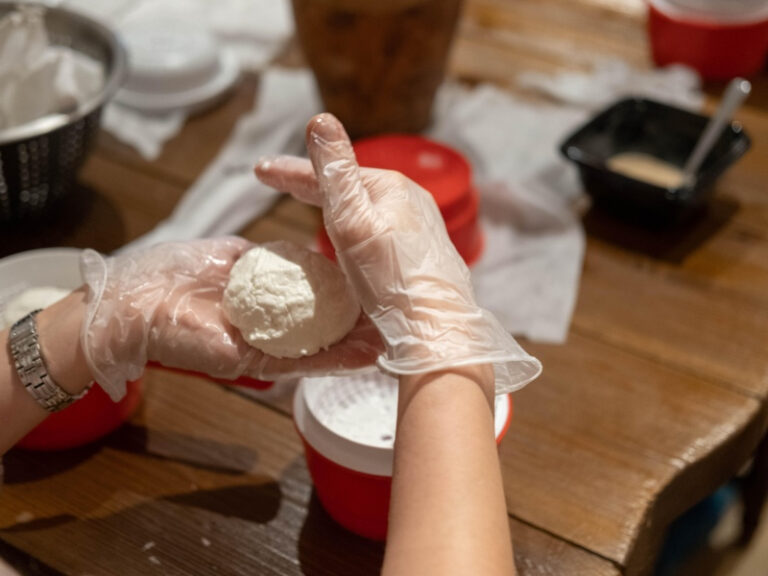 Гатчина: императорская ферма и сырный мастер-класс