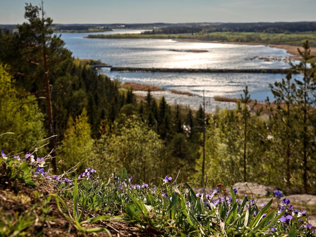 0r7a6555 reklamnik 2024 05 19