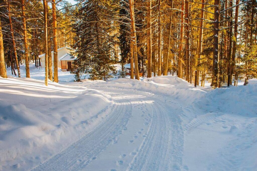 77cblipggifbubl4lzd6pepi08jqtows sajt severnaya zvezda