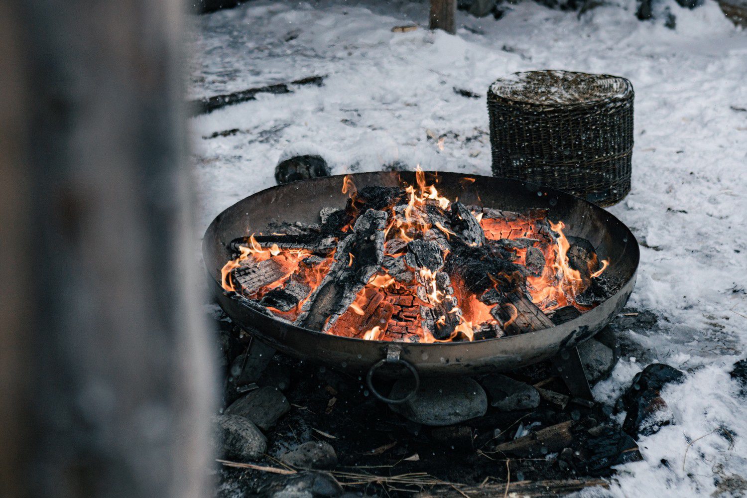 ablcc1wt 00 ot bastiona