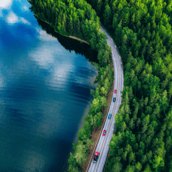 blog mnogotsvetie 1345