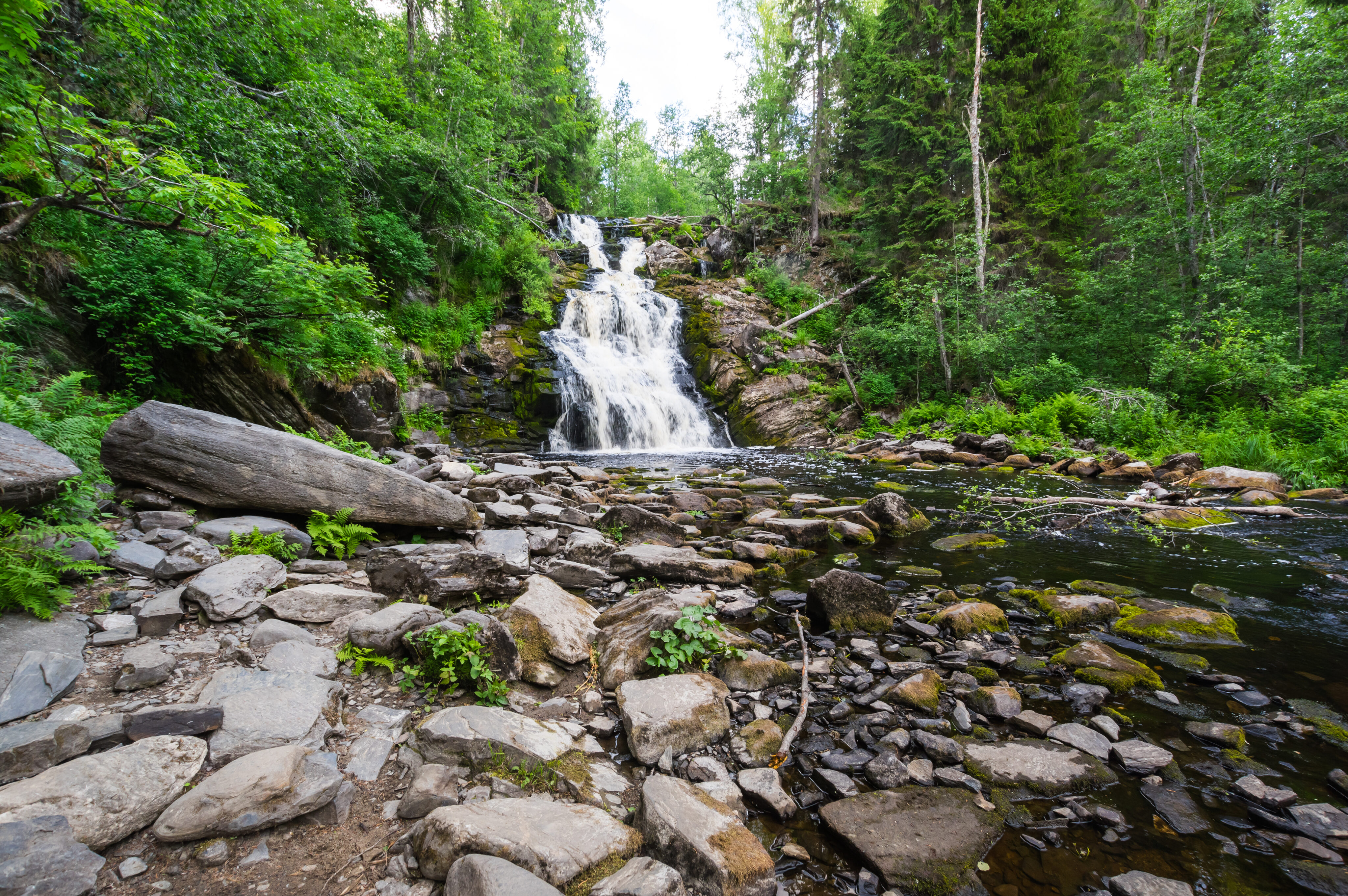 depositphotos 410466078 xl 2015 scaled