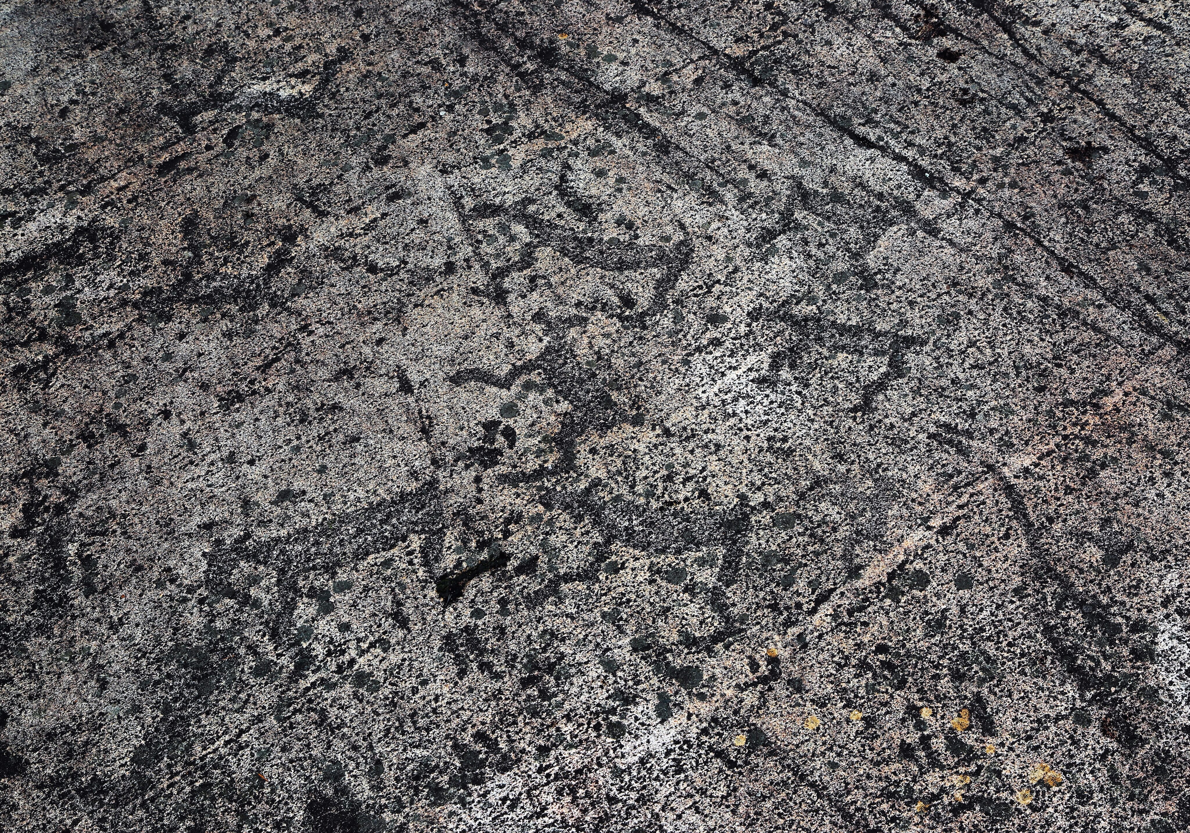 depositphotos 81529634 ds scaled