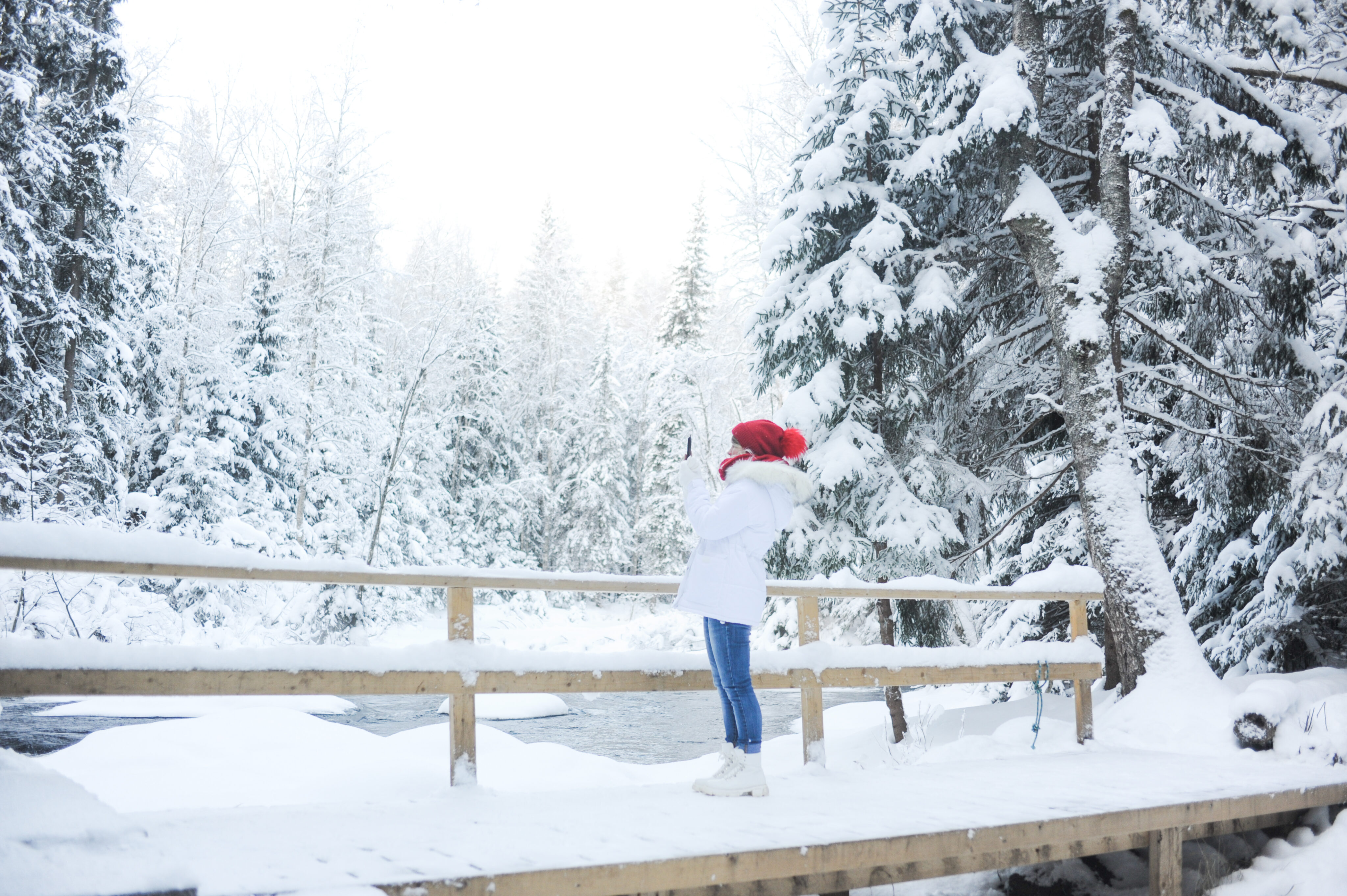 dsc 9179 09.12.21 mice scaled