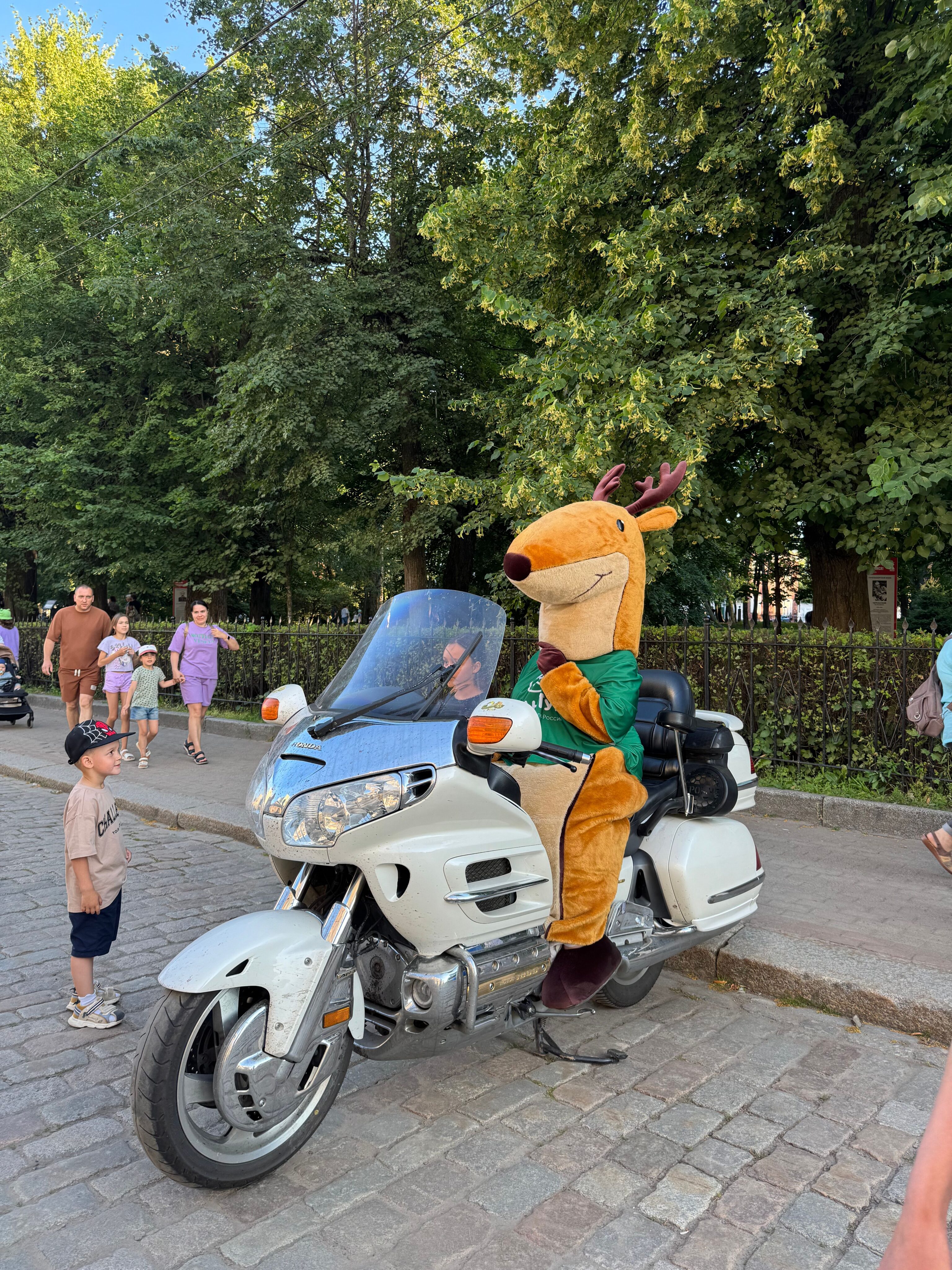 img 3731 2 11zon scaled