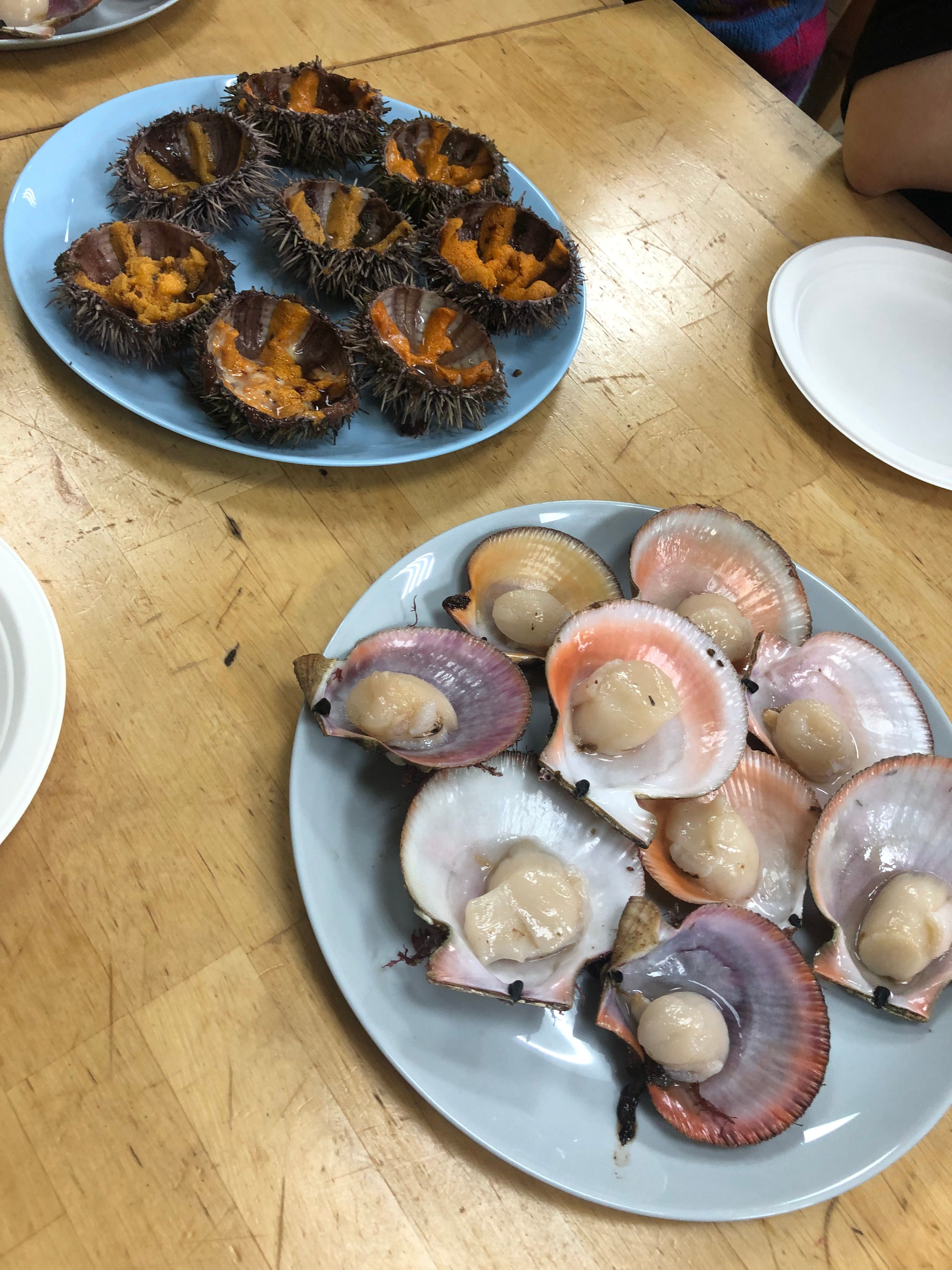 img 4334 dasha sereda 1 11zon