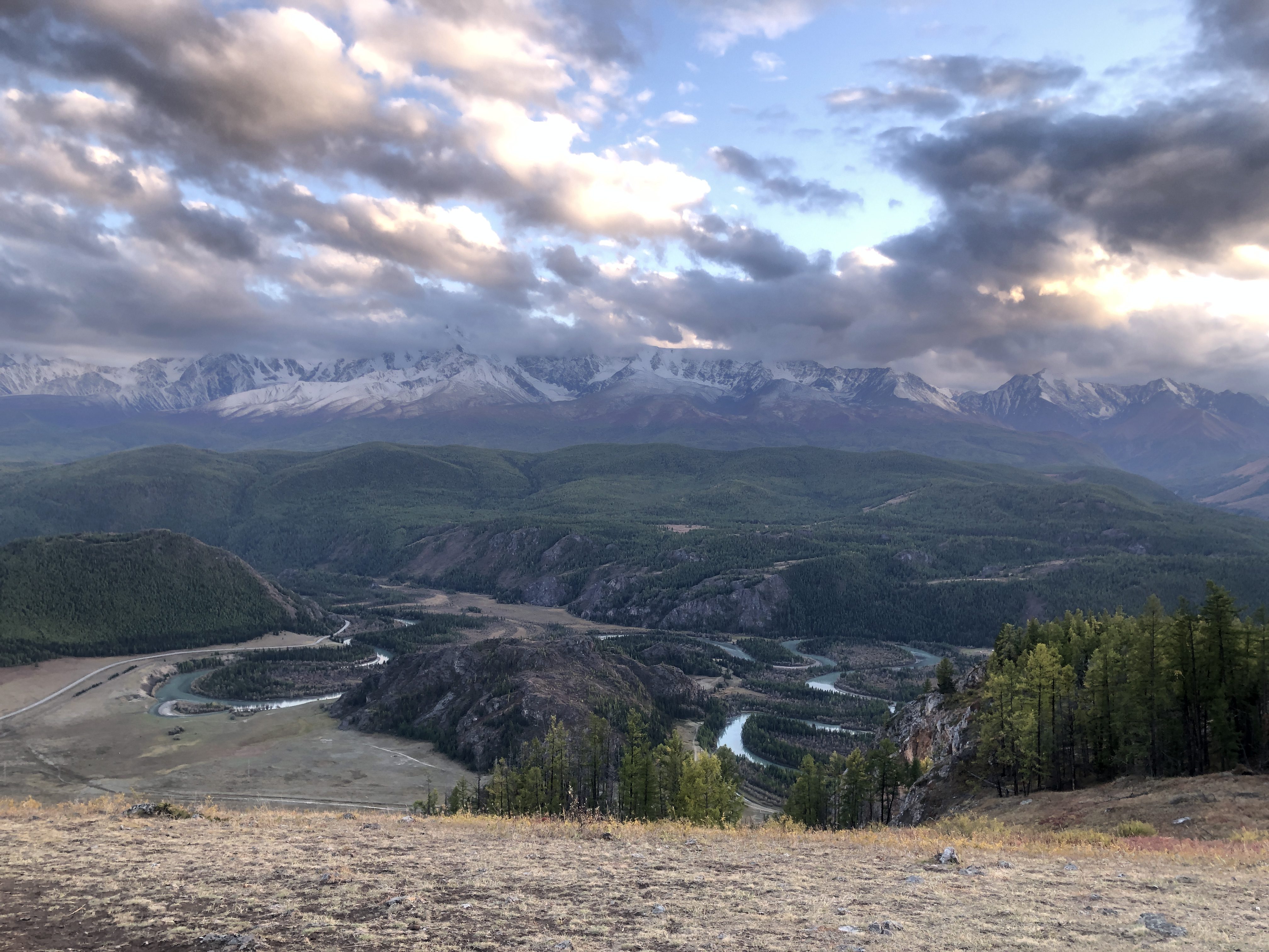 img 4497 dasha sereda