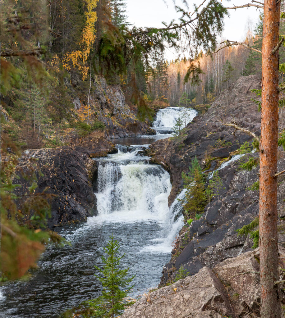 istock 1415744385