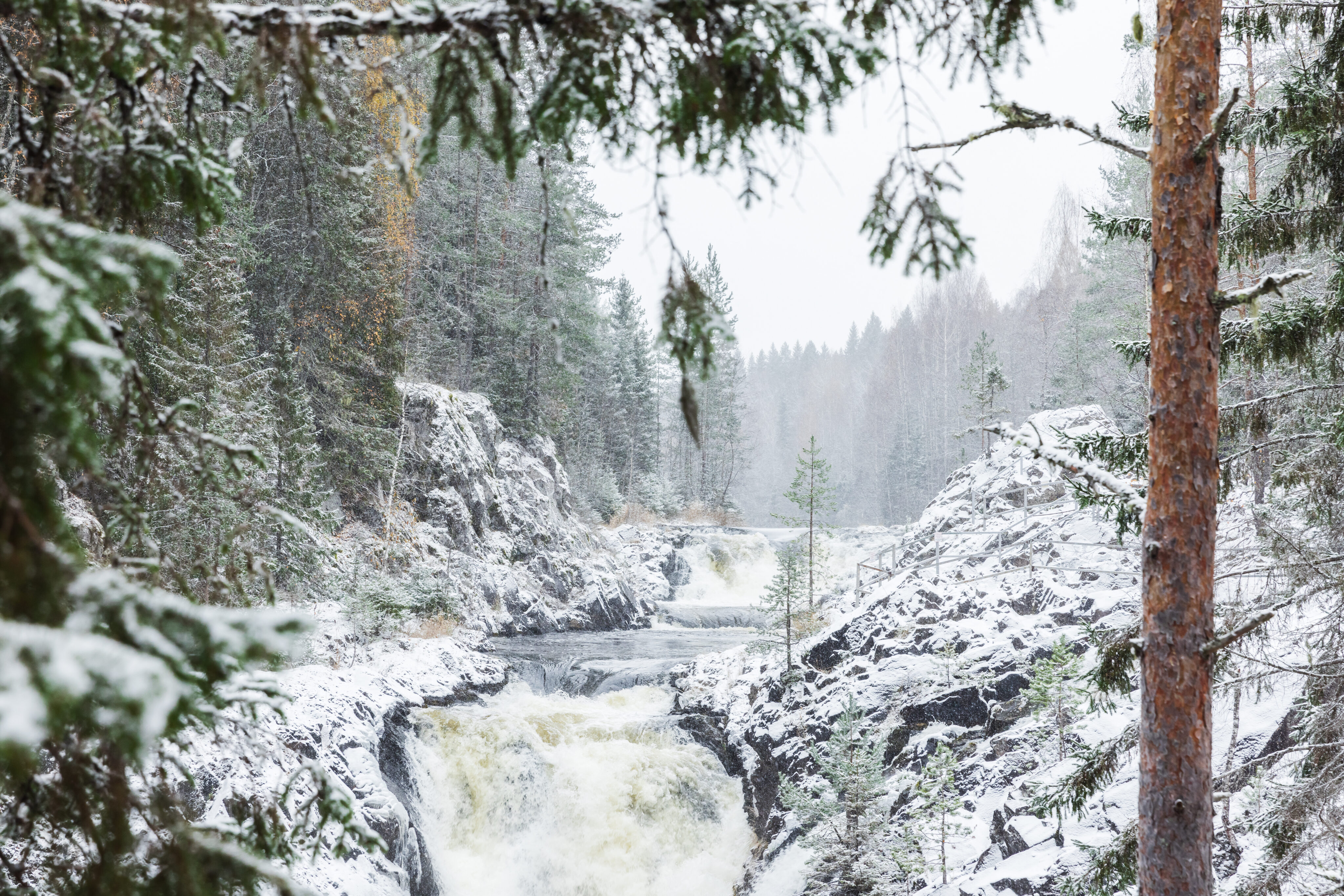 istock 1768581308 scaled