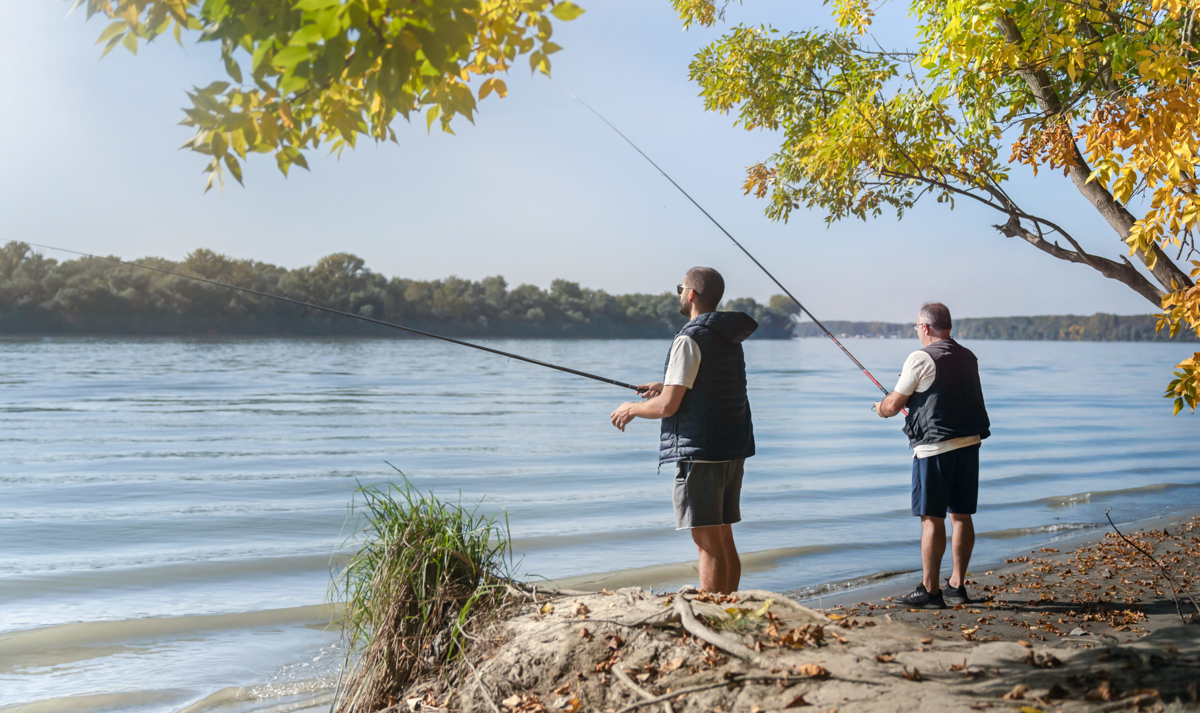 istock 1844770034 scaled