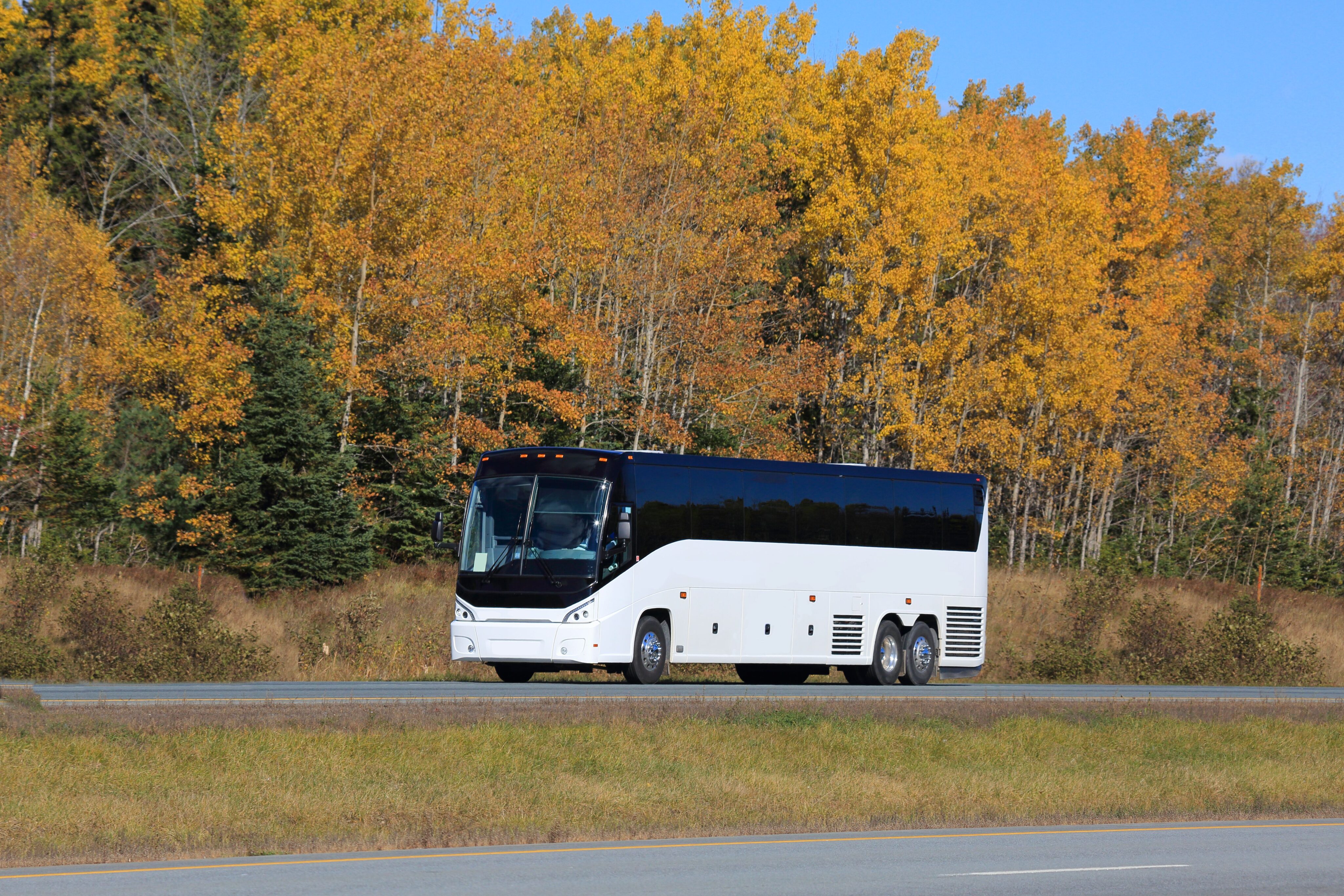 istock 624171584 scaled