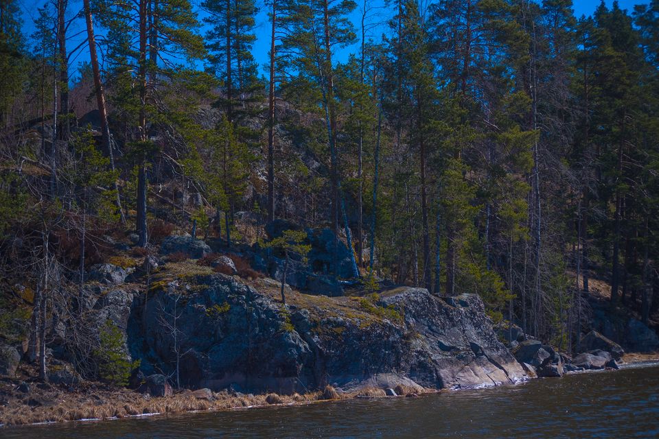 ladoga park 20