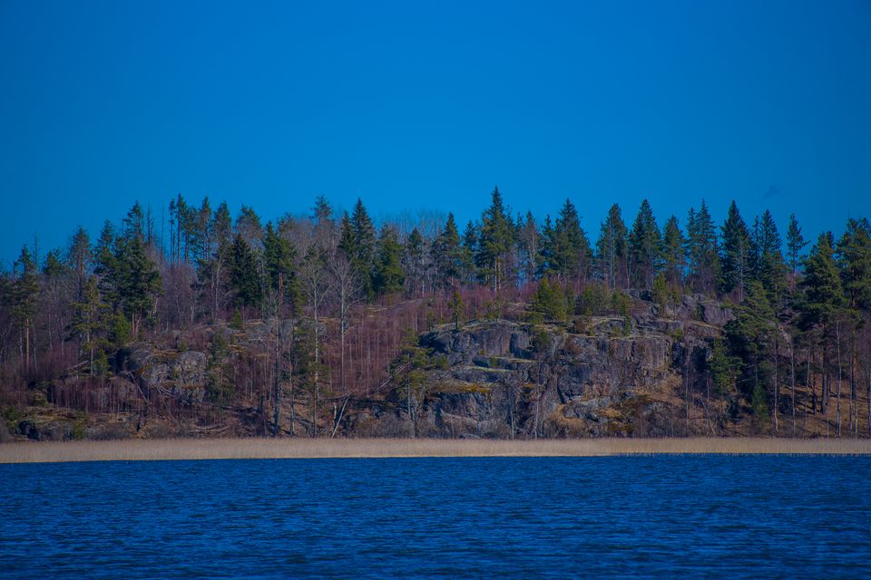 ladoga park 21