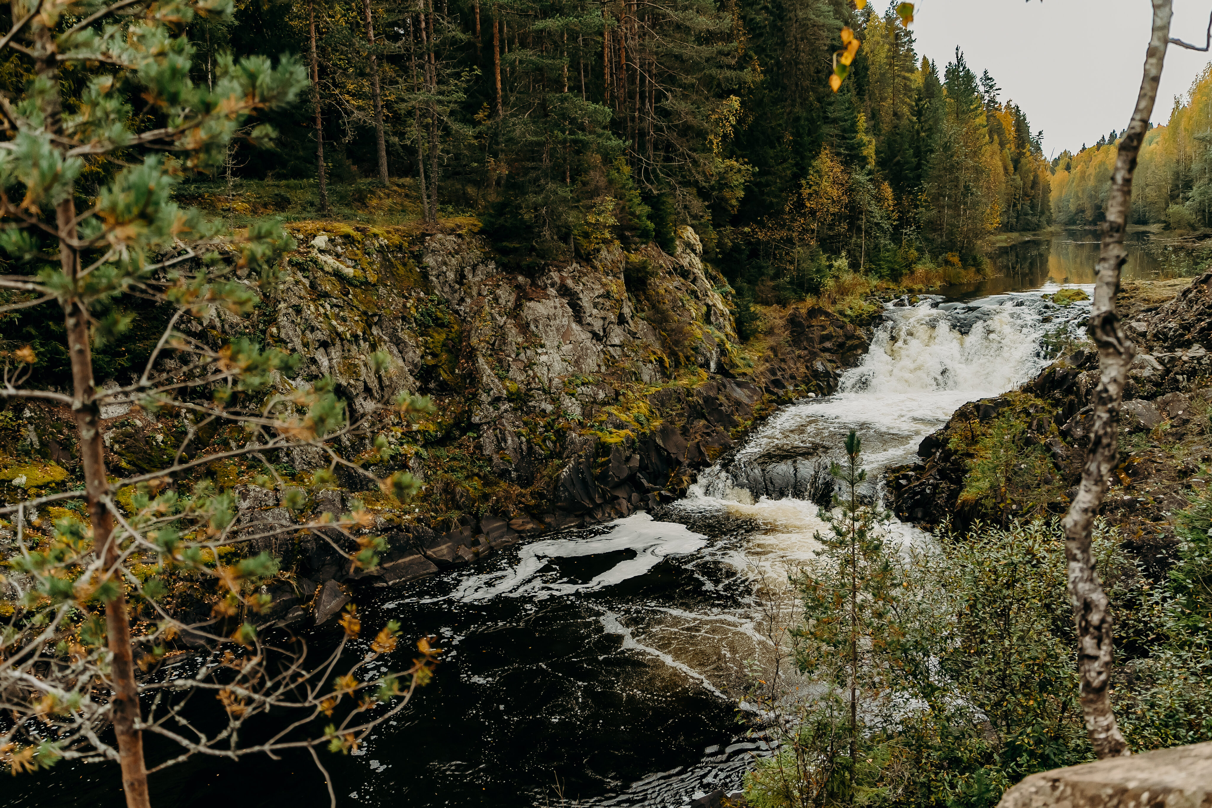 lk d3 212 2023 09 26 29 forum legendarnaya kareliya.jpg scaled