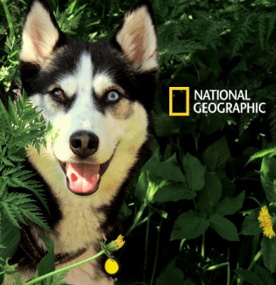 natgeo scantour