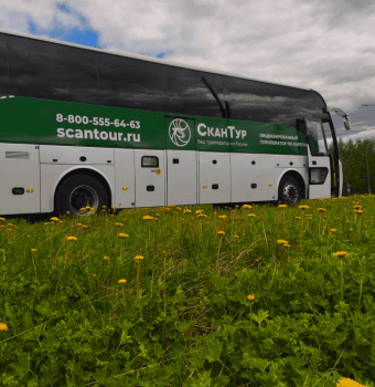 novye avtobusy skantur v ptz