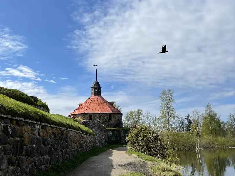 novyj proekt 1 1 3 1