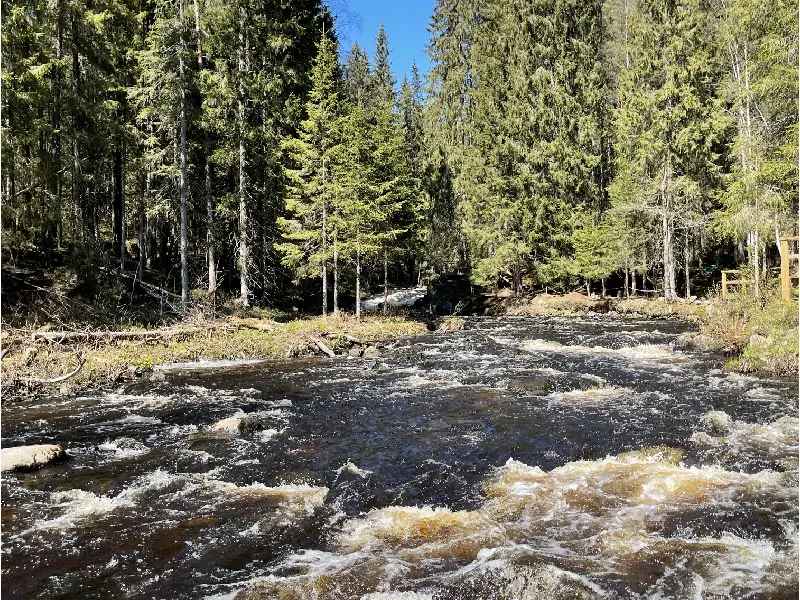 novyj proekt 2 2 3 1