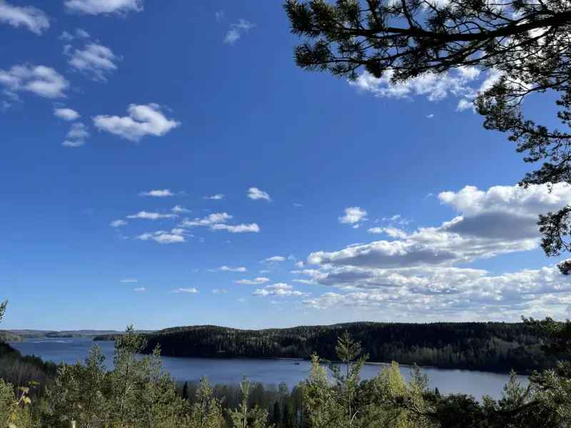 novyj proekt 3 3 1 1