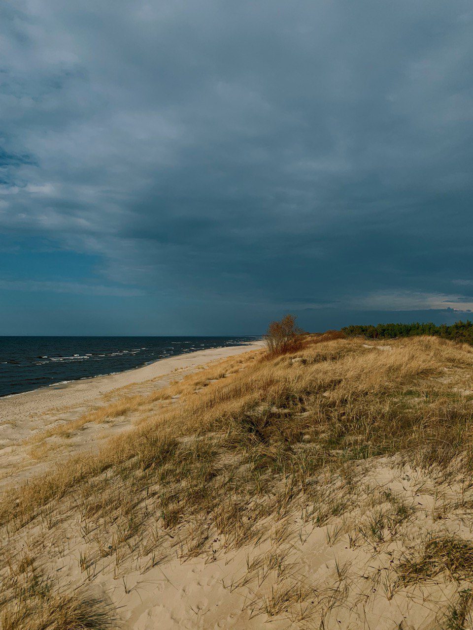 photo 2025 03 28 12 23 39