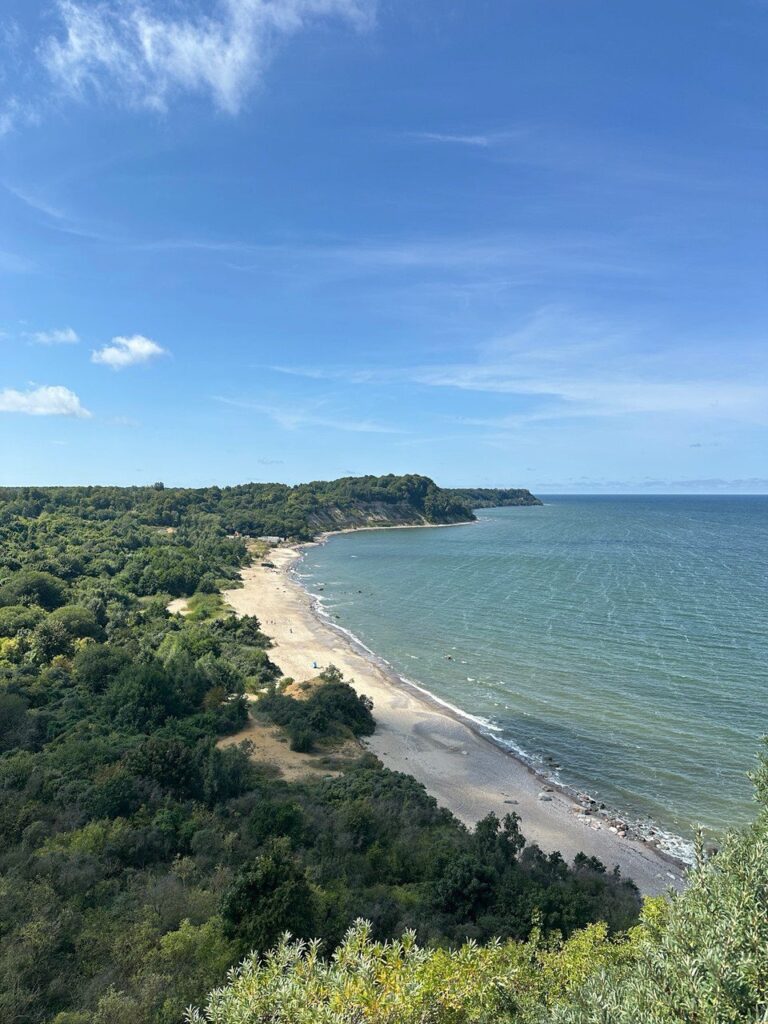 photo 2025 03 28 12 25 42