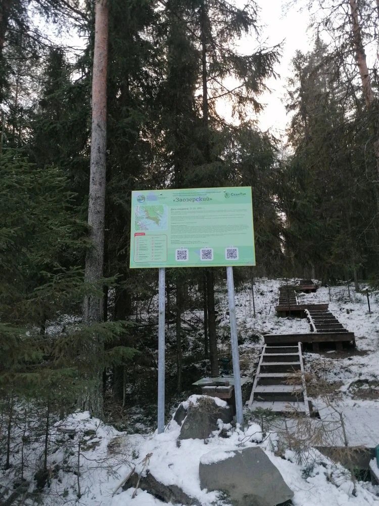 photo 5352898096007942965 y