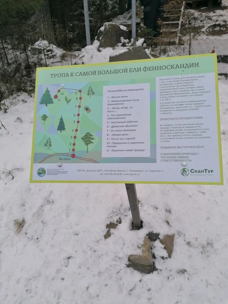 photo 5352898096007942966 y