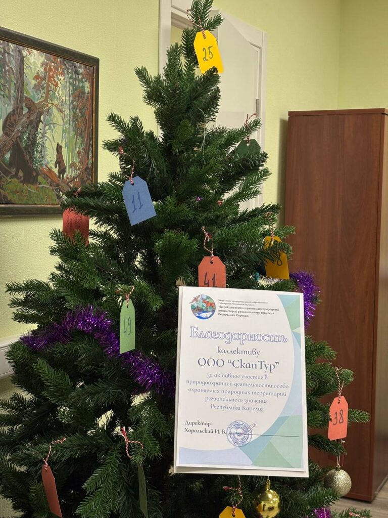 photo 5357396494429916717 y