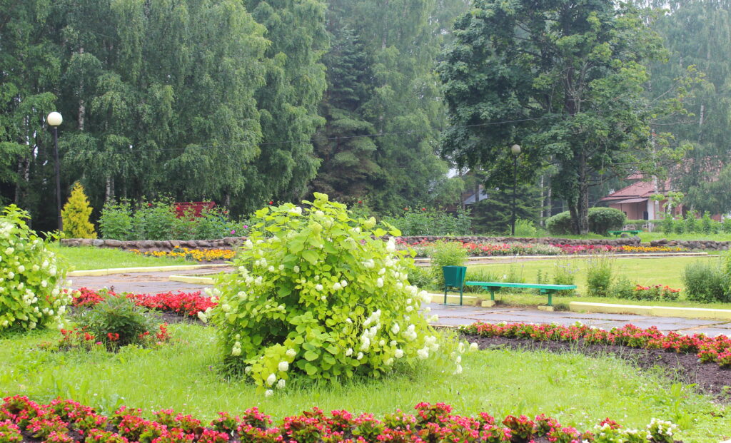 pushkinogore 4