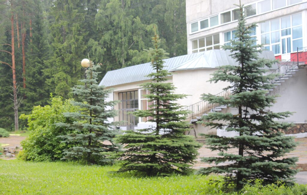 pushkinogore 6