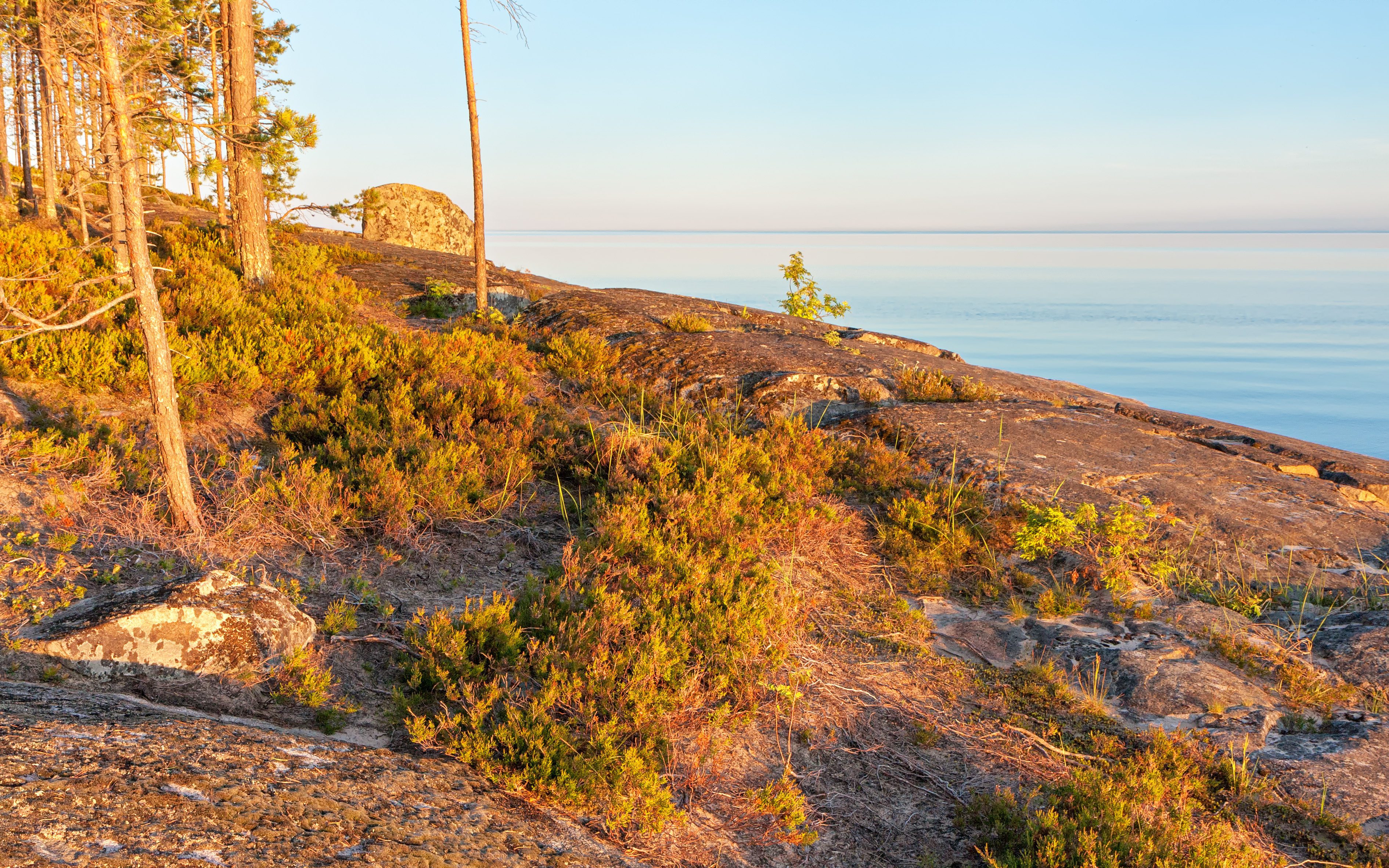 shutterstock 192358460