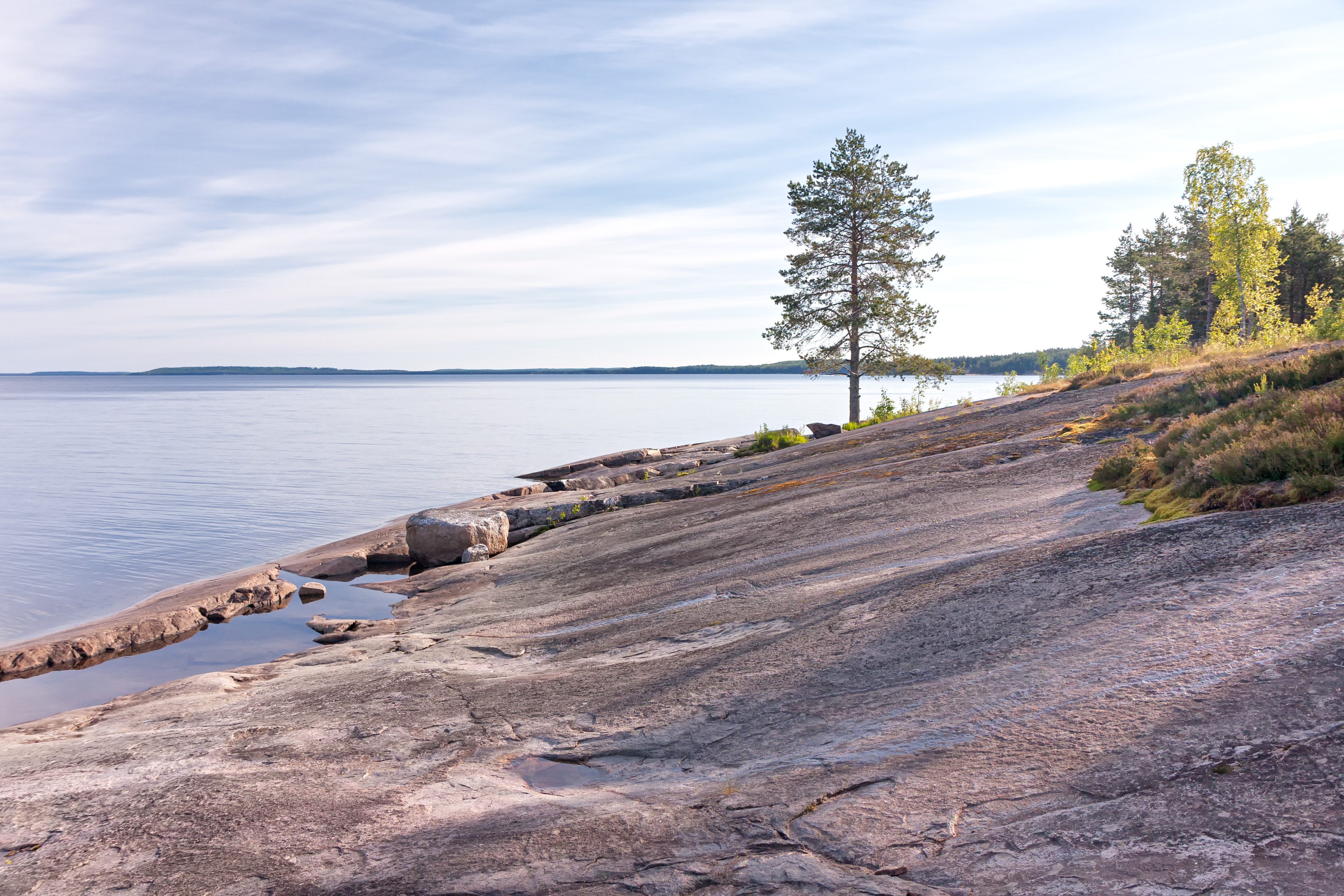 shutterstock 196293080 1