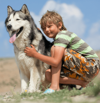 skantur predstavil semeynye puteshestviya na vystavke