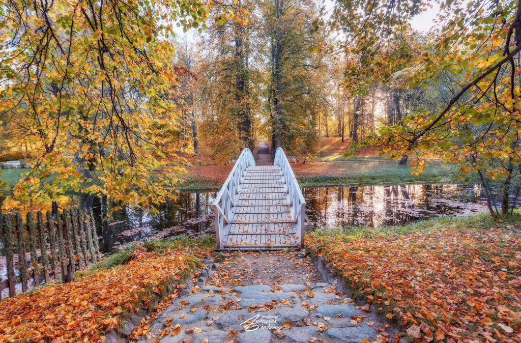 10 lipeczkih 06042026 1