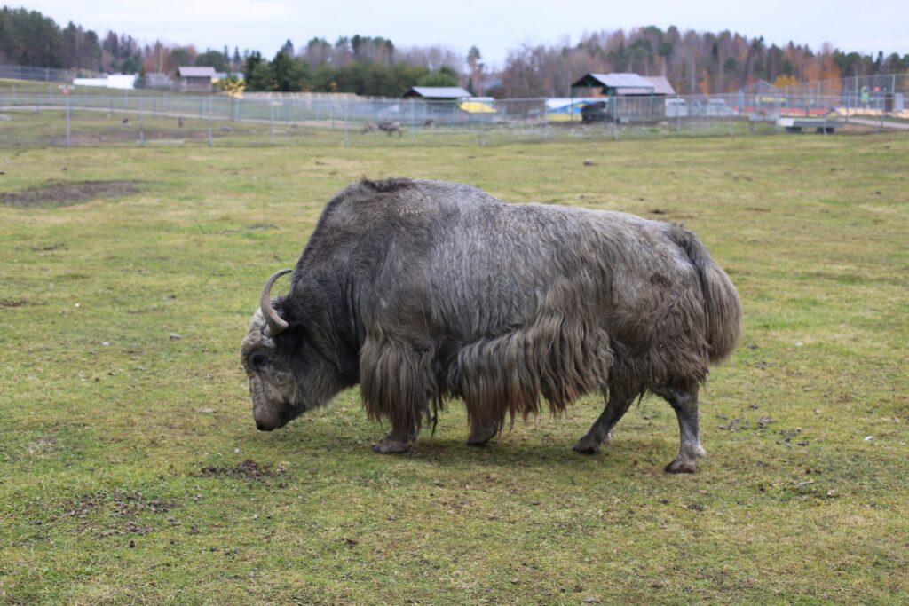 3g0a1571 reklamnyj tur 20 10 2024
