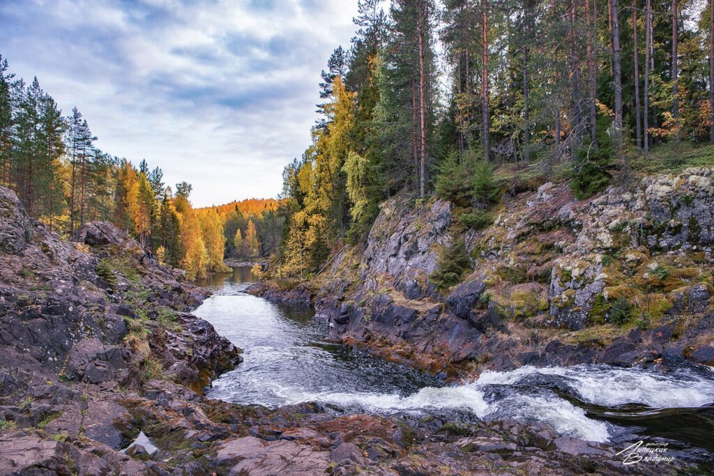 44 lipeczkih 06042026 20260422122911