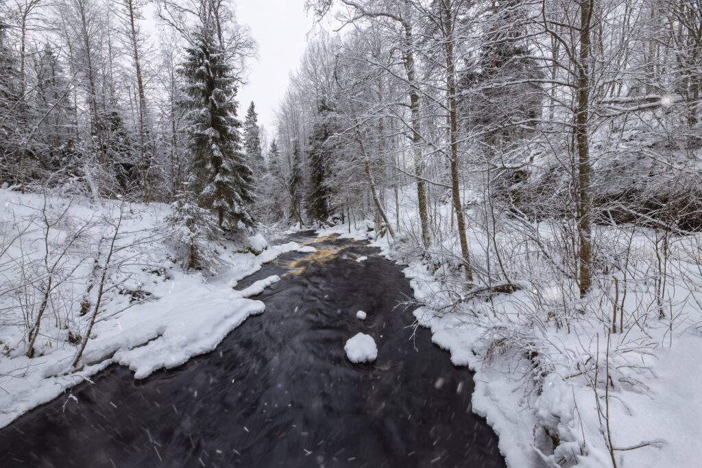 depositphotos 440865552 ds