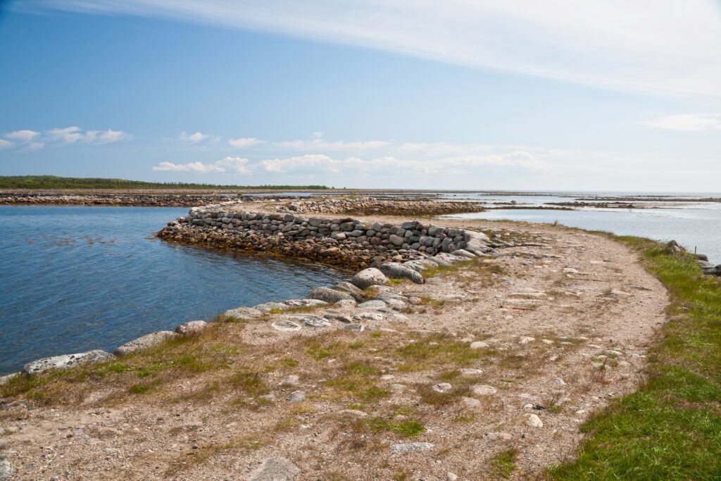 depositphotos 74663567 ds 1