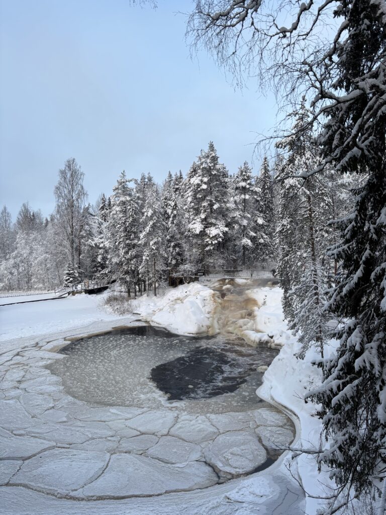img 0287 e tretyakova 01 2026