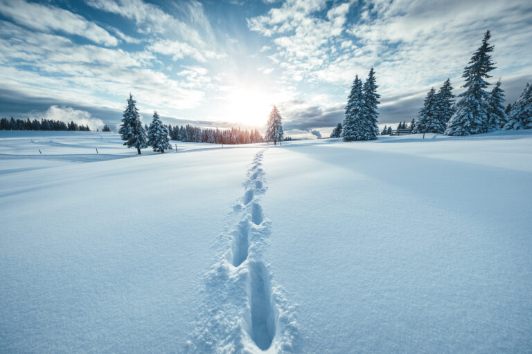 istock 1049223924