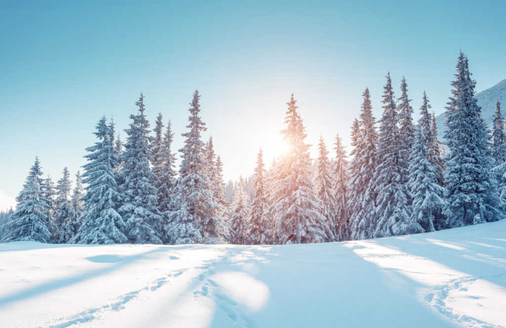 istock 1060619400