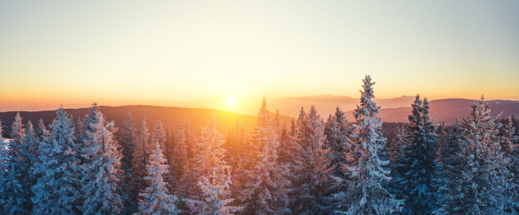 istock 1175399640