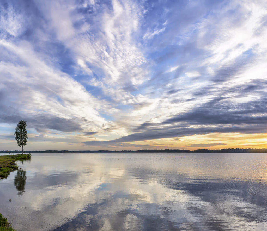 istock 1263423898