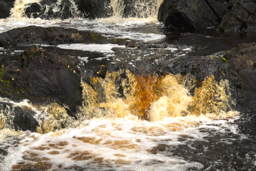 istock 1310073748