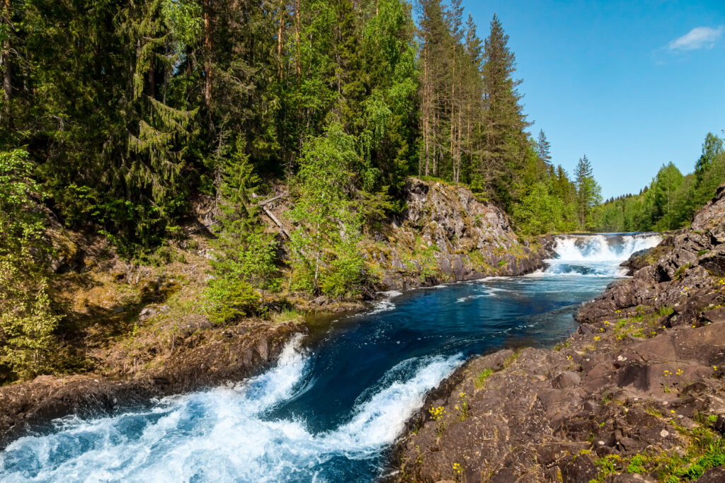 istock 1327081780