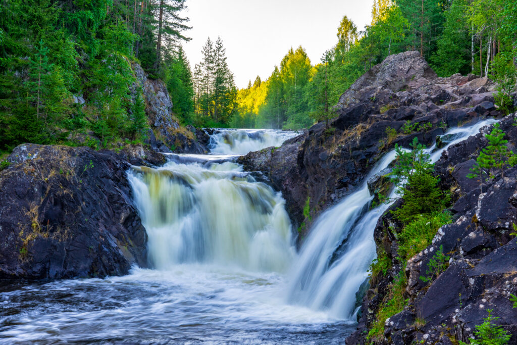 istock 1366230496