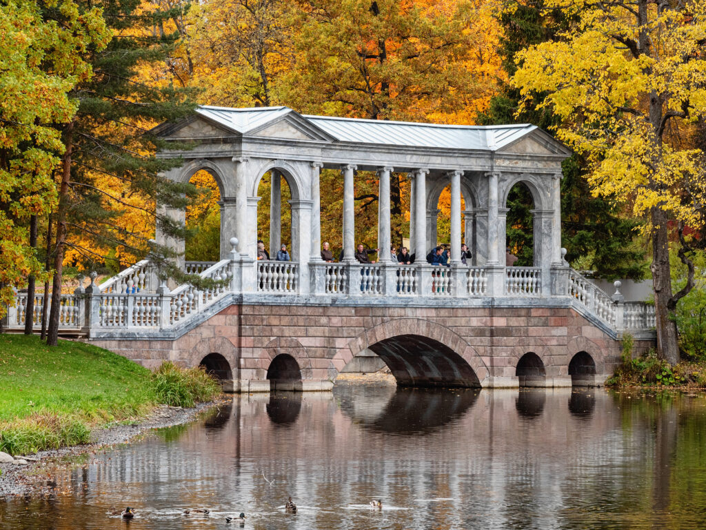 istock 1439281018