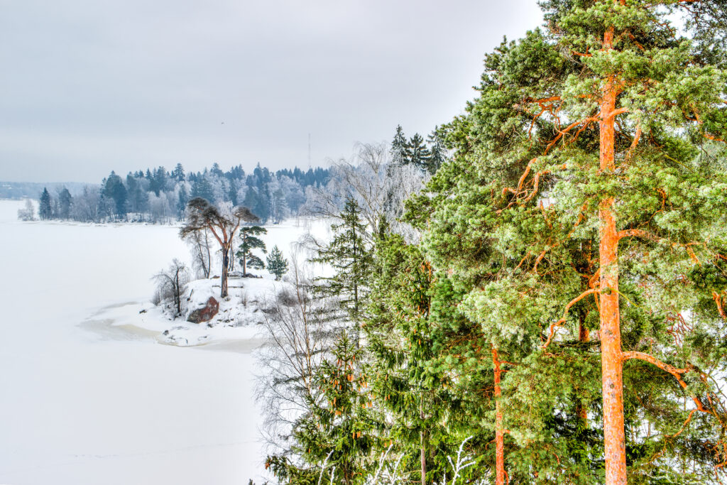 istock 470174834