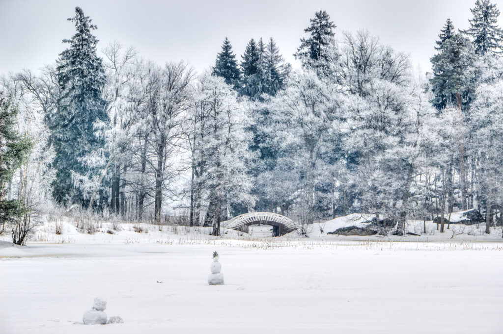 istock 470186278