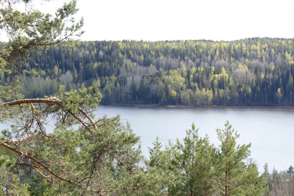 kareliya 462 reklamnik 23.05.22 anna yaushkina
